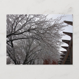 Icy Delmar Loop Postkarte