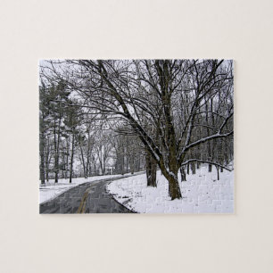 Icy Desised Road Puzzle