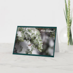 Icy Evergreen Christmas Card Feiertagskarte