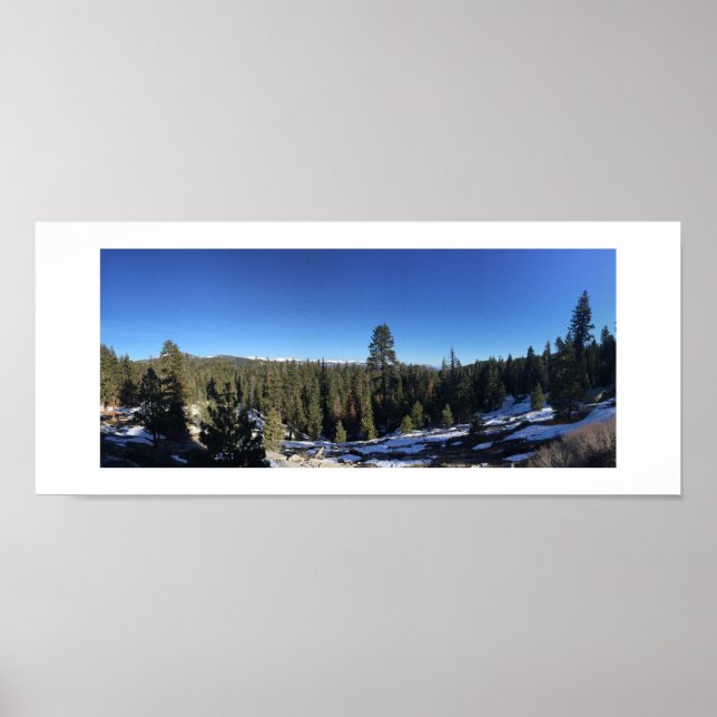 Icy Forest Panorama-Farbfotografie Poster (Vorne)