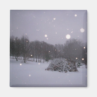 Icy Glitzer Magnet