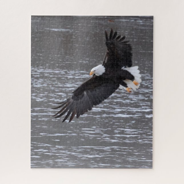 Icy Landung: Bald-Adler-Puzzle Puzzle (Vertikal)