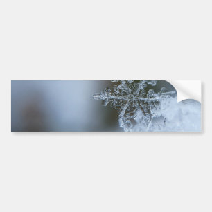 Icy Snowflake Autoaufkleber