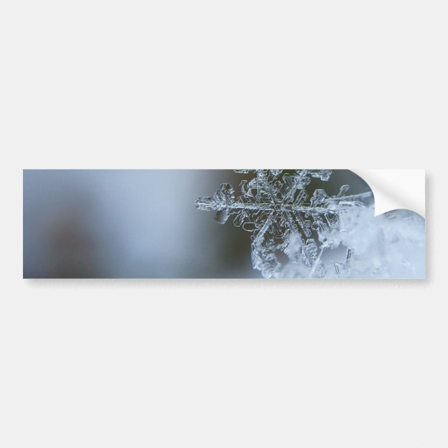 Icy Snowflake Autoaufkleber (Vorne)