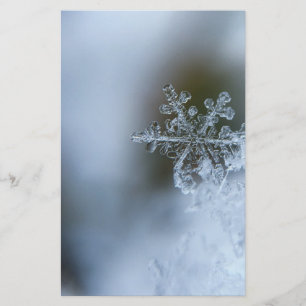 Icy Snowflake Briefpapier