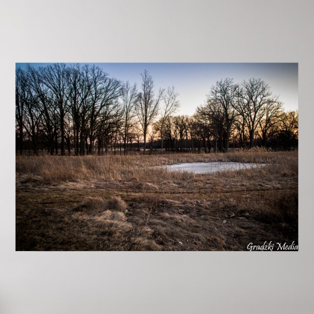 Icy Spring Poster (Vorne)