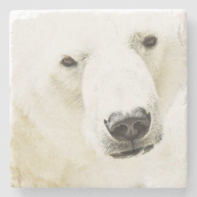 Icy Stare of a Polar Bären Steinuntersetzer (Vorderseite)