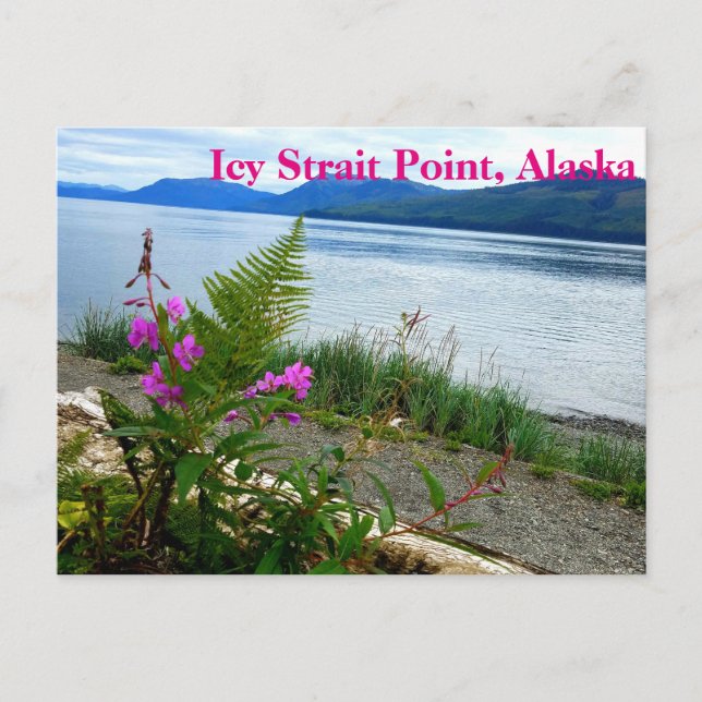 Icy Strait Point, Alaska Postcard Postkarte (Vorderseite)