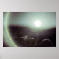 Icy Sun von Alexandra Cook