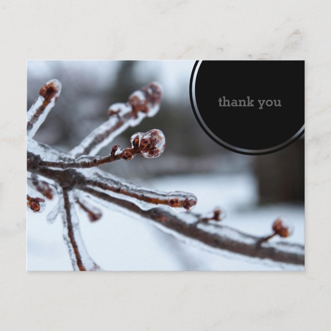 Icy Tree Branch Thank You Postkarte (Vorderseite)