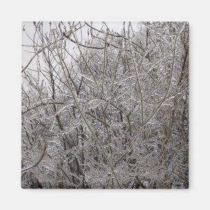 Icy Twigs Magnet