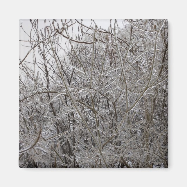 Icy Twigs Magnet (Vorne)