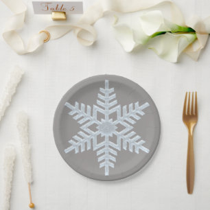 Icy White Frozen Snowflake Elegante Grau Weihnacht Pappteller