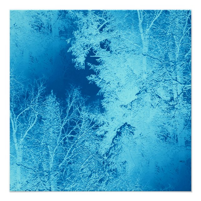 Icy Winter... Poster (Vorderseite)