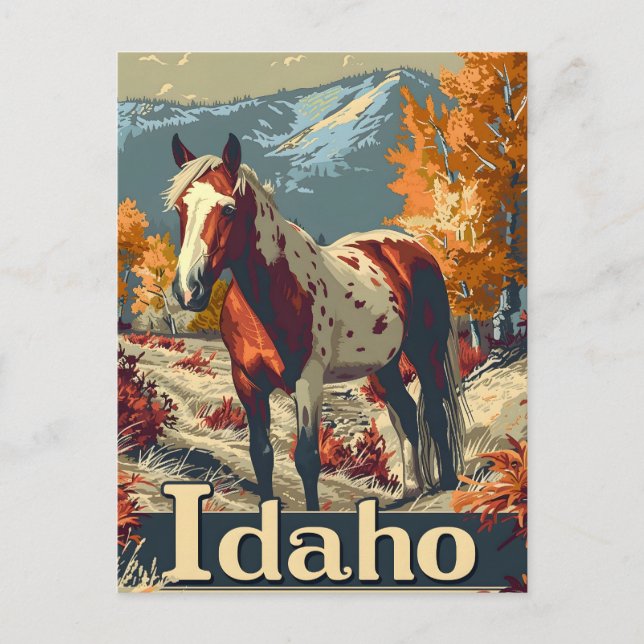 Idaho Appaloosa Postkarte (Vorderseite)