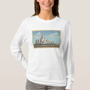 Idaho-Fälle, Identifikation - mormonischer T-Shirt