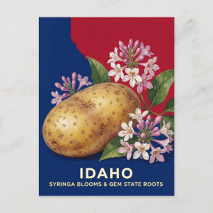 Idaho-Kartoffel und Syringa als Staatssymbole Postkarte