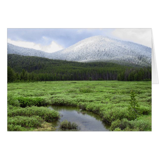 Idaho Mountain Snowfall (Vorderseite (Horizontal))