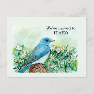 Idaho Postkarte