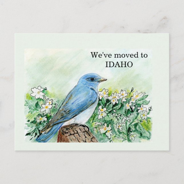 Idaho Postkarte (Vorderseite)