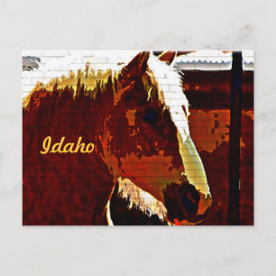Idaho, Sorrel-Pferd im Profil Ansichtskarte Postkarte
