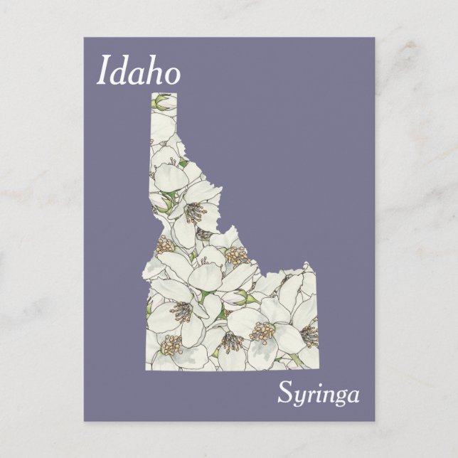 Idaho Staat Blume Collage Map Postkarte (Vorderseite)