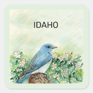 Idaho Staat Vogel und Blume Quadratischer Aufkleber