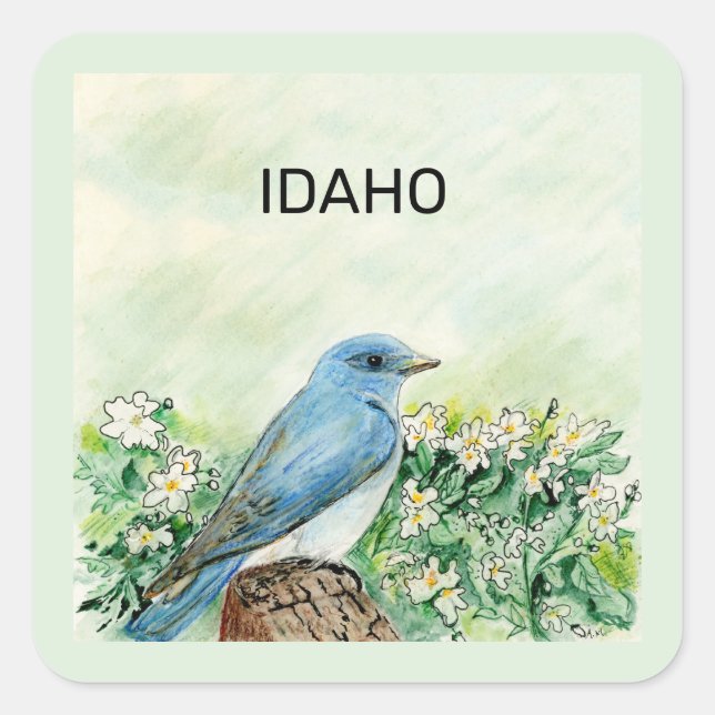 Idaho Staat Vogel und Blume Quadratischer Aufkleber (Vorderseite)
