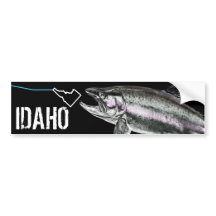 IDAHO STEELHEAD - HIER FISCHFISCHE - STREKENDE IDA