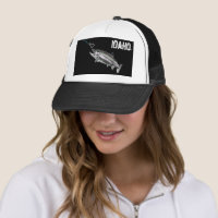 IDAHO STEELHEAD - HIER FISCHFISCHE - STREKENDE IDA