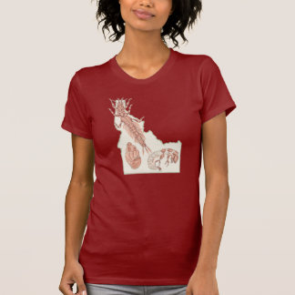 Idaho Wasserinsekten T-Shirt