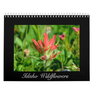 Idaho-Wildblume-Kalender Kalender