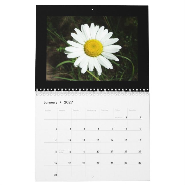 Idaho-Wildblume-Kalender Kalender (Jan 2027)