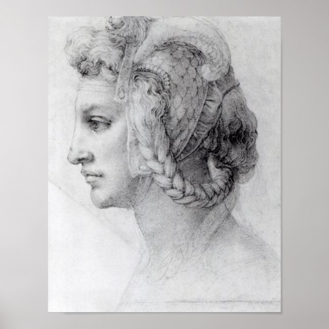 Idealer Leiter einer Frau, c.1525-28 Poster (Vorne)