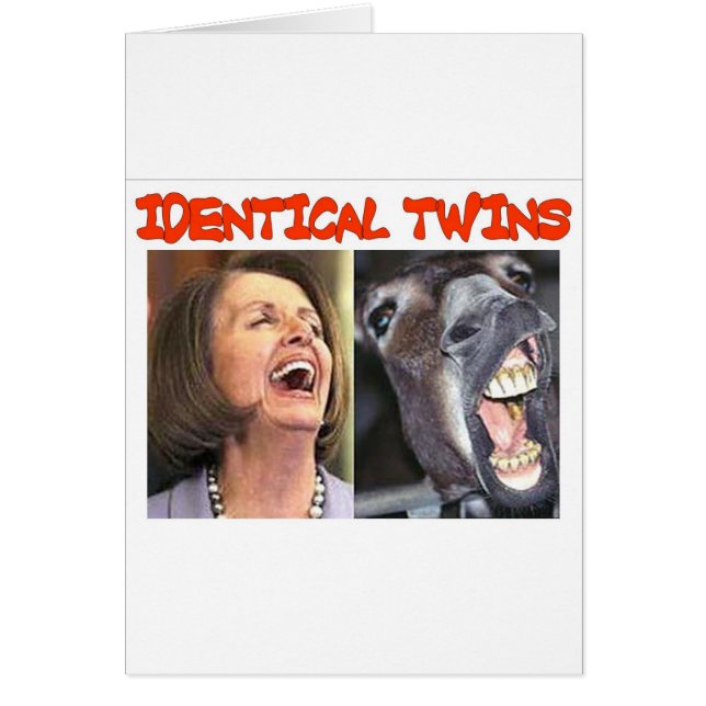 IDENTICAL TWINS (Vorne)