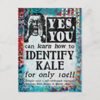 Identifizieren Kale - Funny Vintage Ad