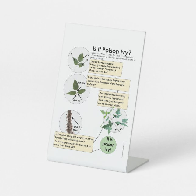 Identifizieren von Gift Ivy Pflanze Wandern, Campi Sockelschild (Vorderseite)