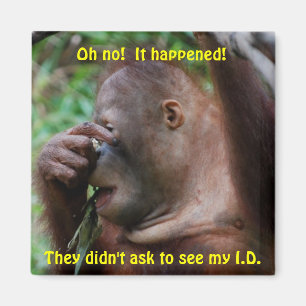 Identifizierung Magnet