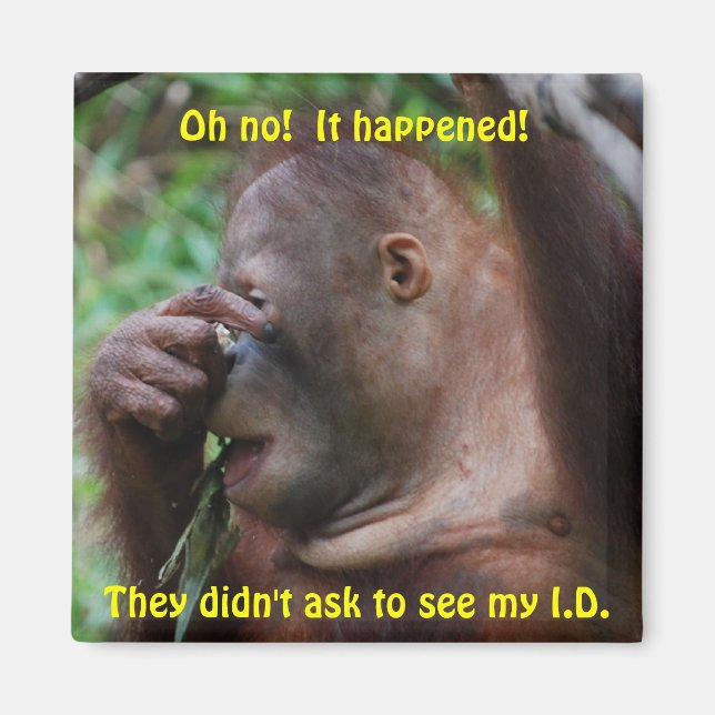 Identifizierung Magnet (Vorne)