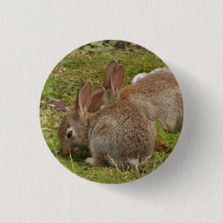 Identische Zwillinge Button