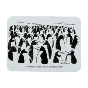 Identitäts-Diebstahl Magnet