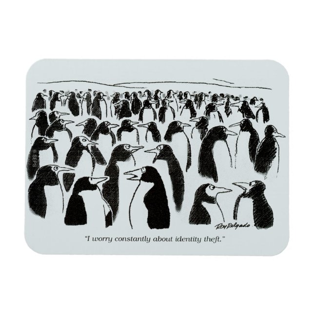 Identitätsdiebstahl Magnet (Horizontal)