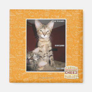 Idiot-Freunde Magnet