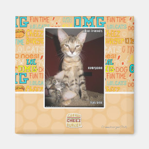 Idiot-Freunde Magnet