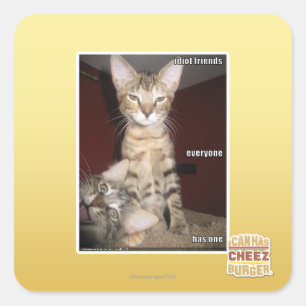 Idiot-Freunde Quadratischer Aufkleber