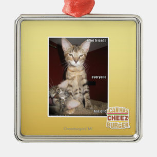 Idiot-Freunde Silbernes Ornament