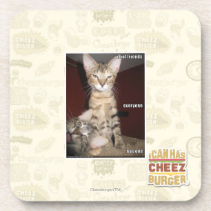 Idiot-Freunde Untersetzer