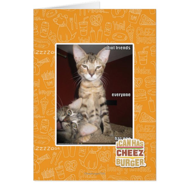 Idiot Friends (Vorne)
