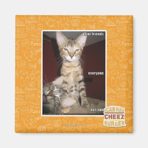 Idiot Friends Magnet