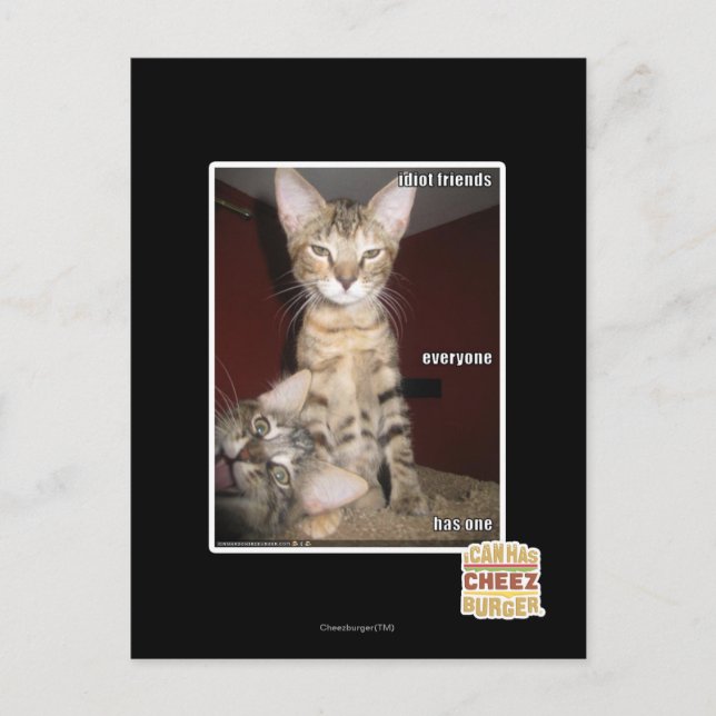 Idiot Friends Postkarte (Vorderseite)